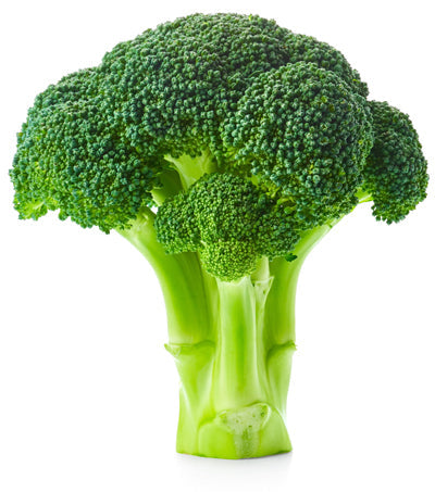 Broccoli