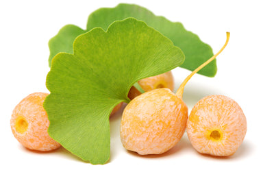 Ginkgo Biloba