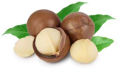 Macadamia Nut