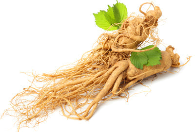 Ginseng