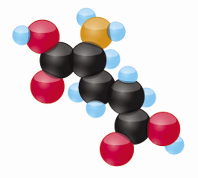 Glutamic Acid