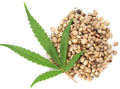 Hemp Tein